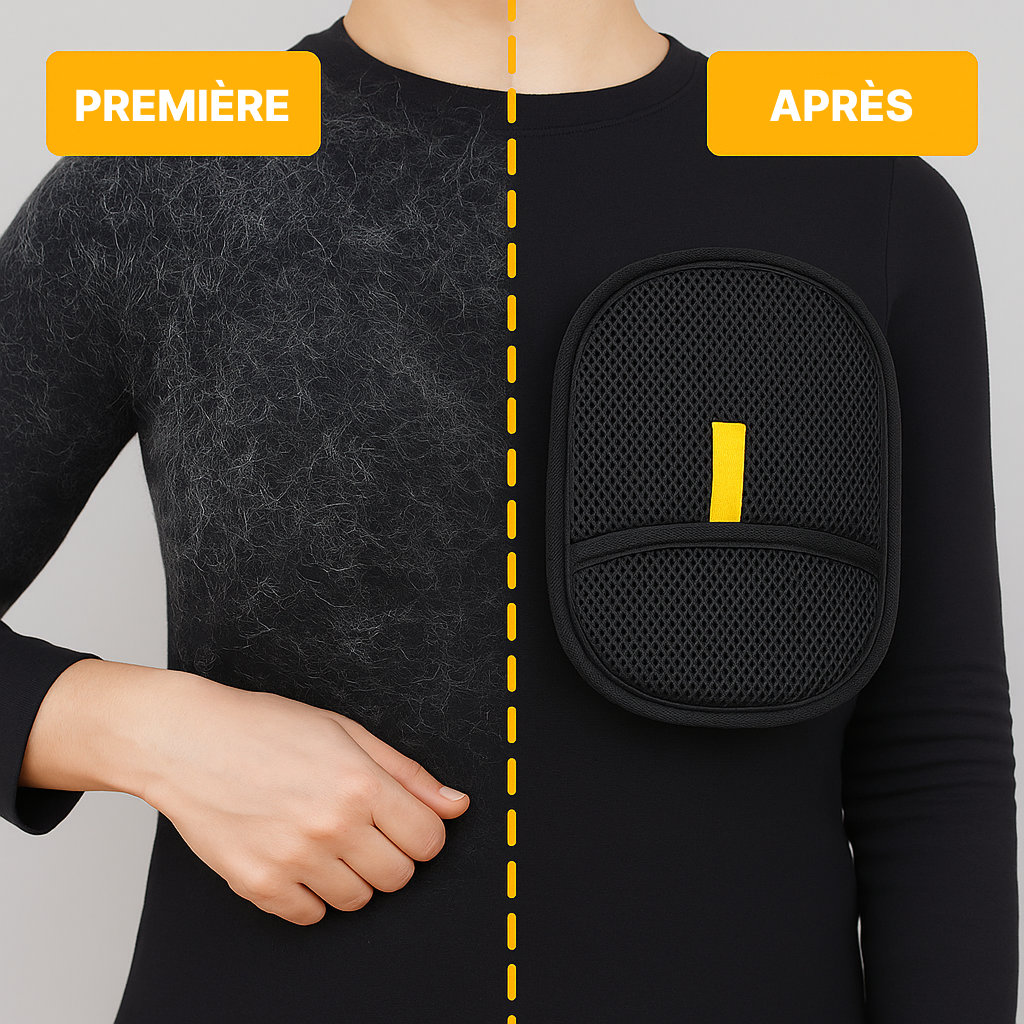 Gant pour éliminer les poils d'animaux avec double brosse électrostatique