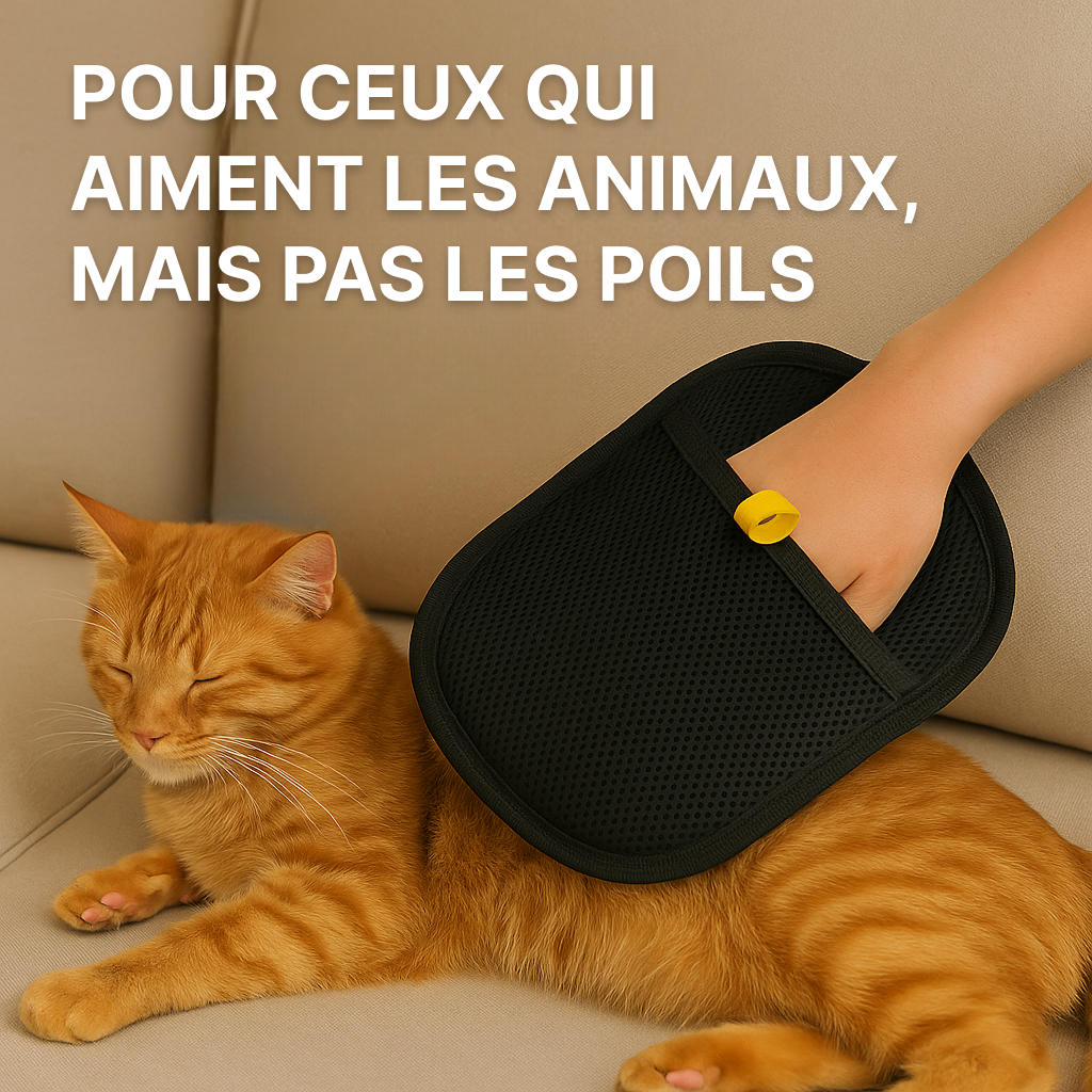 Gant pour éliminer les poils d'animaux avec double brosse électrostatique